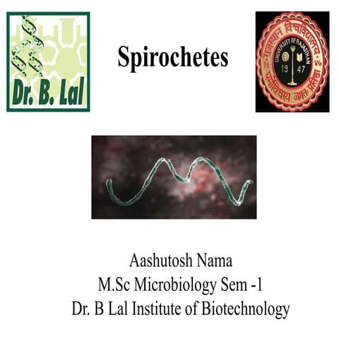 Spirochetes.pptx
