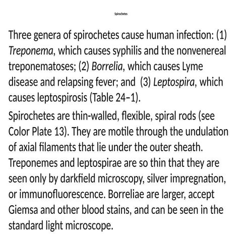 spirochetes microbiology lecture in medical.pptx