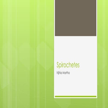 Spirochetes ( medical microbiology lecture) | PPTX
