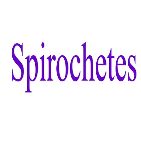 Spirochetes its morphology, identification (1).ppt
