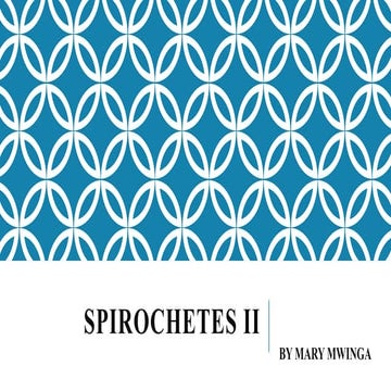 Spirochetes ii