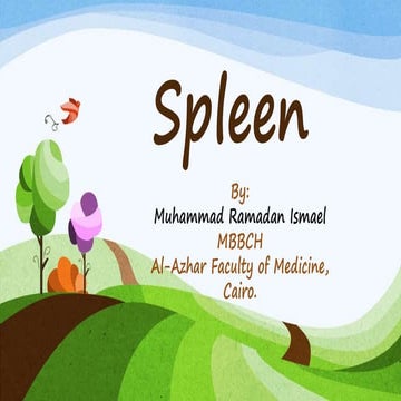 Spleen