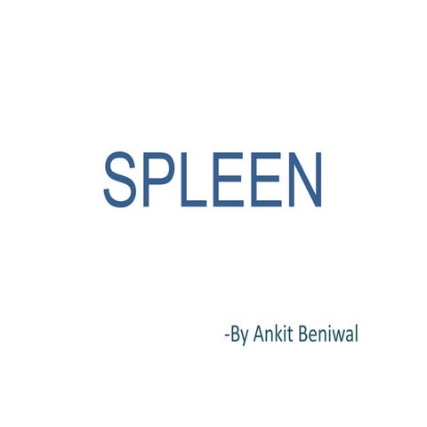 Spleen Radiology