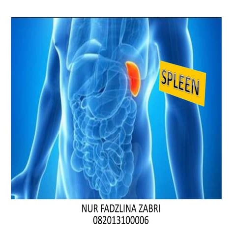 Diseases of Spleen