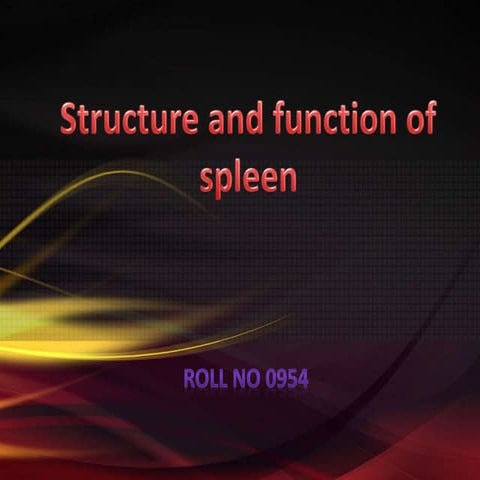 Structure and function of Spleen