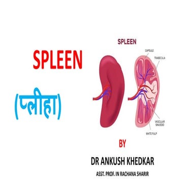 Spleen...