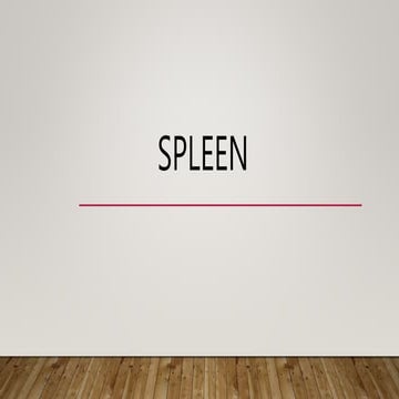 Spleen anatomy  and physiology