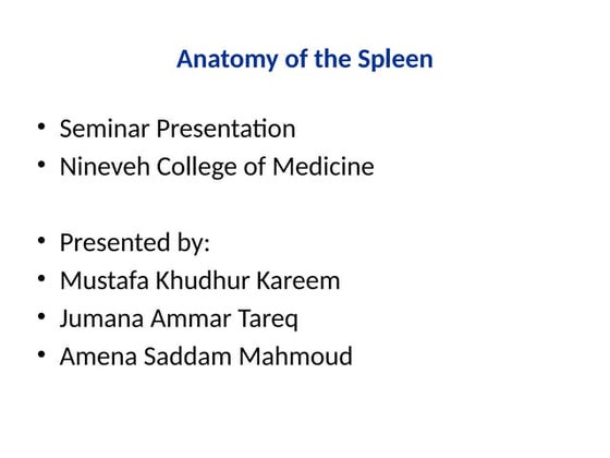 anatomy of spleen. Surgical anatomy. Blood supply | PPT