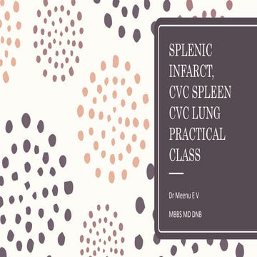 SPLENIC INFARCT, CVC SPLEEN & LUNGS PATHOLOGY PRACTICAL CLASS FOR MBBS