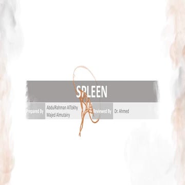 Spleen lab summary 