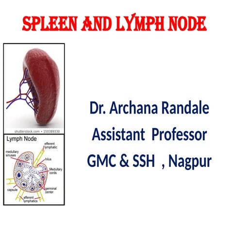 Spleen & Lymph Node Pathology presentation.pptx