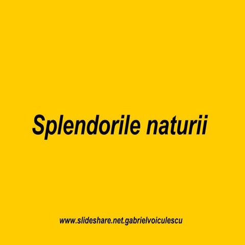 Splendorile Naturii