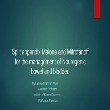 _Split appendix presentation.pptx