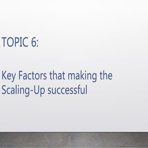Key Factors That Make The Scaling-Up Sucessful