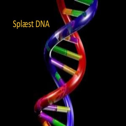 Splæst dna