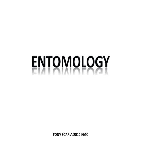 Spm entomology spotters (insects of public health importance)