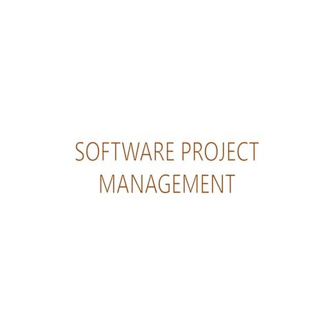 Project Management