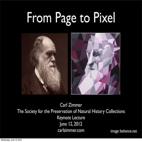 From Page to Pixel (or What Chuck Norris and Tapeworms Taught Me About the Fu...