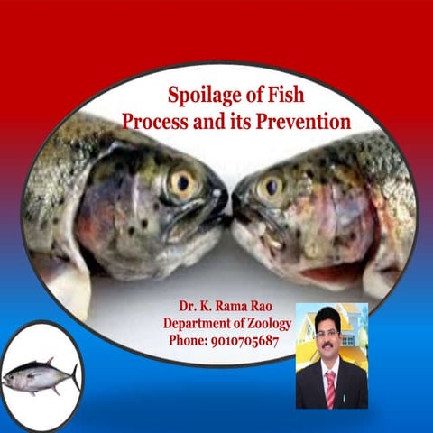 Spoilage of Fish (Process and Its Prevention)