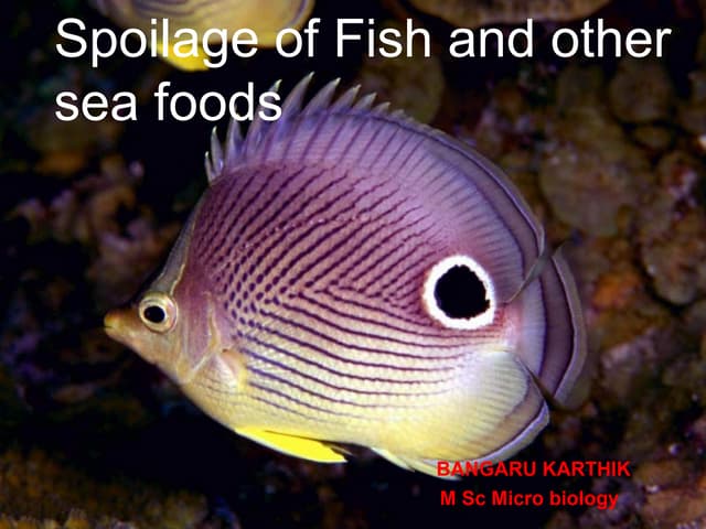 Spoilage of fish and other sea foods