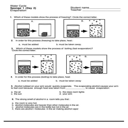 Water cycle (worksheet(s)) | PDF
