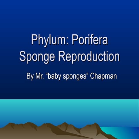 Sponge reproduction notes