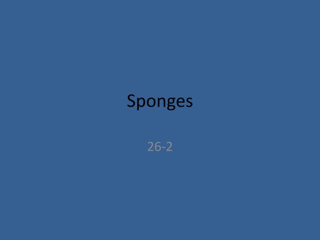 Sponges