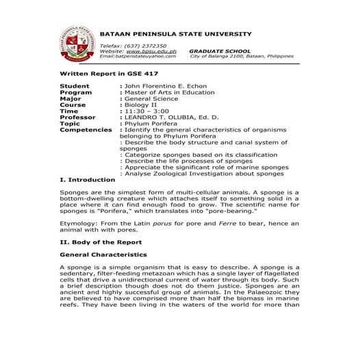Phylum Porifera: The Pore Bearing Animals
