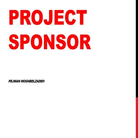 Project Sponsorship 