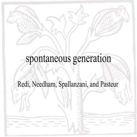 he theory of spontaneous generation states that life arose from nonliving mat...