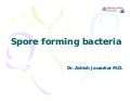 1 spore forming gram positive bacilli 2014 1 spore forming gram positive bacilli 2014