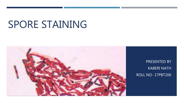 Spore staining