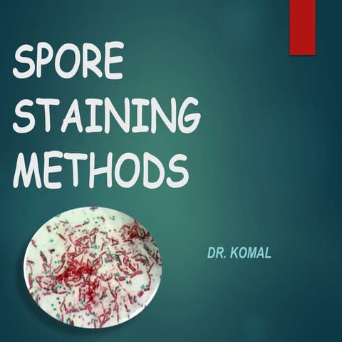 Spore staining methods