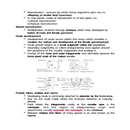 sporogenesisgametogenesisfertilizationseeddevelopment.pptx