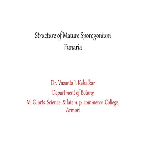 Sporogonium of funaria