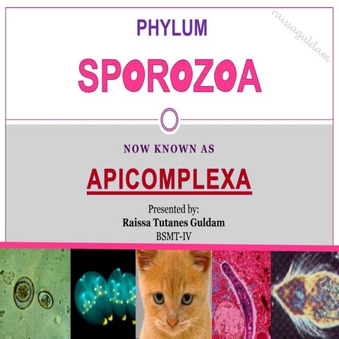 Sporozoa