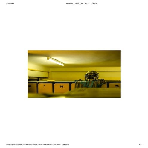 Shutterbug | PDF