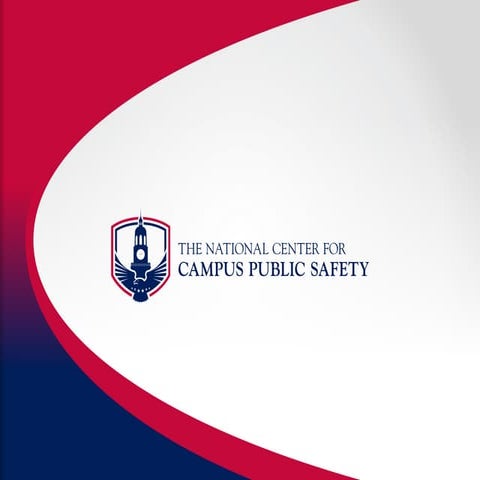 Sports and Special Event Security Planning: Best Practices