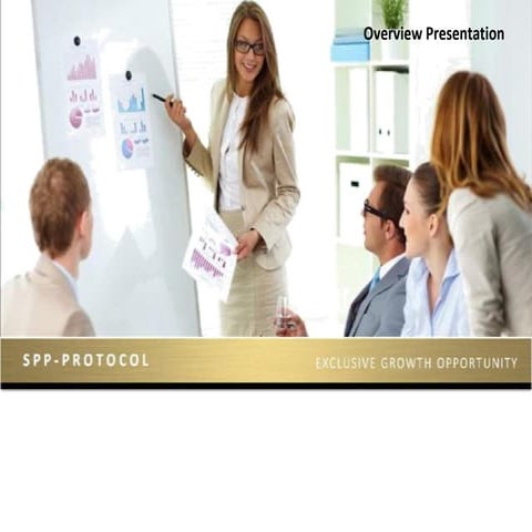 SPP debit presentation | PDF