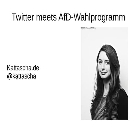 Twitter meets AfD-Wahlprogramm
