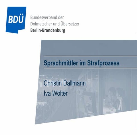 Sprachmittler im Strafprozess