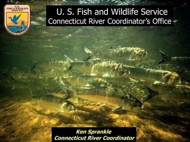 USFWS Ken Sprankle CT River diadromous restoration Jan 2015