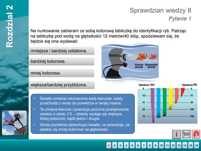 Las Sprawdzian Wiedzy Klasa 2