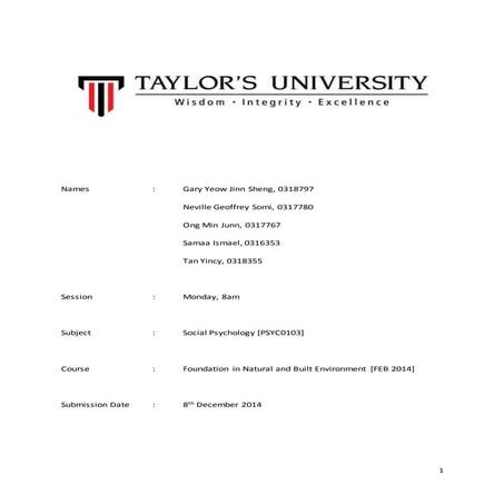 Social psychology report