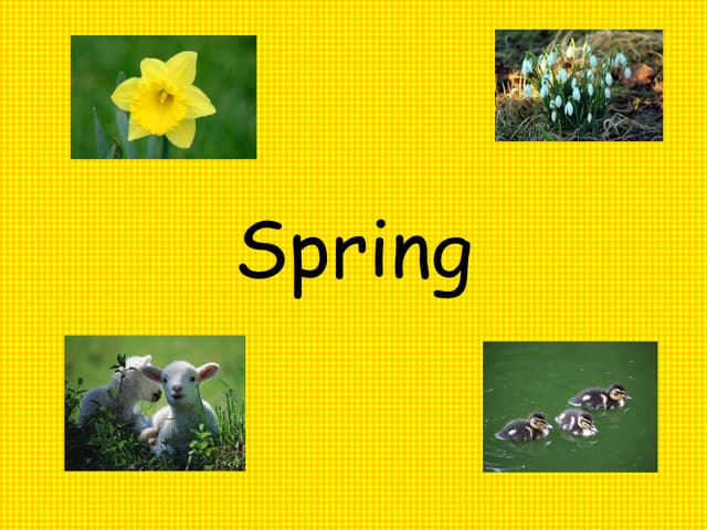 Spring | PPT