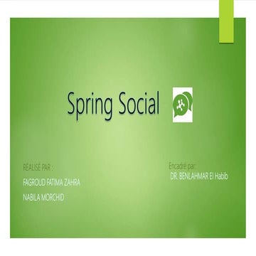 Spring social