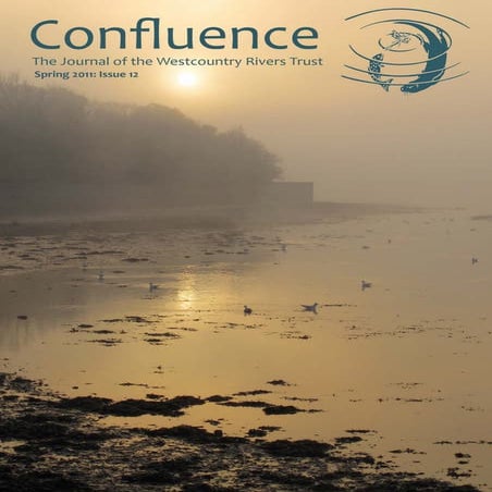 Confluence 12: Spring 2011