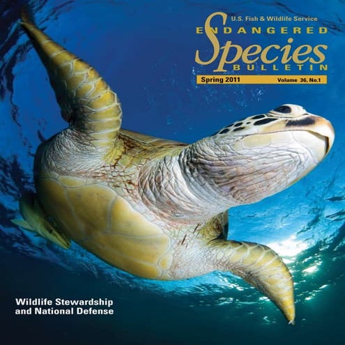Endangered Species Bulletin - Spring 2011