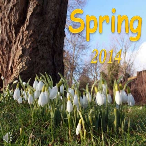 Spring 2014 (v.m.)