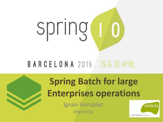 Spring batch for large enterprises operations 